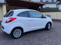 Gebraucht Ford Ka Titanium 69 PS (50 kW) 2009 Weiß Kleinwagen