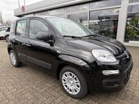 Neu Fiat Panda 69 PS (50 kW) 2025 Cinema schwarz Kleinwagen