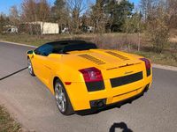 Gebraucht Lamborghini Gallardo 519 PS (381 kW) 2008 Gelb Cabrio