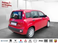 Neu Fiat Panda Icon 65 PS (47 kW) 2026 Rot Kleinwagen