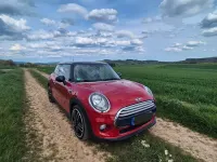 Occasion Mini Cooper 136 PK (100 kW) 2014 Rood Hatchback
