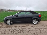 Gebraucht Audi A3 Cabriolet Attraction 102 PS (75 kW) 2009 Schwarz Cabrio