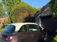 Occasion Opel Adam Glam 69 ch (50 kW) 2017 Marron Citadine
