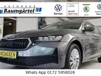 Neu Skoda Octavia Selection 116 PS (85 kW) 2026 Grau Limousine
