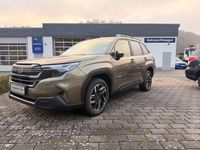 Neu Subaru Forester Active 136 PS (100 kW) 2026 Autum green metallic SUV