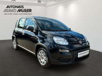 gebraucht Fiat Panda 1.0 Hybrid Klima Bluetooth Radio-DAB USB