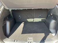 Gebraucht Ford Kuga ST-Line 151 PS (111 kW) 2024 Agate black metallic SUV