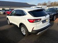 Gebraucht Ford Kuga Titanium X 224 PS (164 kW) 2022 Weiß SUV