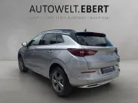 Gebraucht Opel Grandland X Ultimate 131 PS (96 kW) 2023 Grau SUV