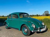 Gebraucht VW Käfer 34 PS (25 kW) 1964 Grün Limousine
