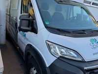 Gebraucht Opel Movano 165 PS (121 kW) 2023 Weiß Van / Kleinbus