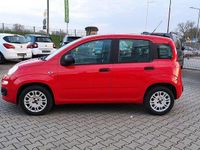 Gebraucht Fiat Panda Easy 69 PS (50 kW) 2019 Rot Kleinwagen