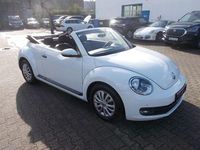 Gebraucht VW Beetle Cabriolet 105 PS (77 kW) 2015 Pure white (metallic) Cabrio