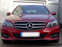 Gebraucht Mercedes E350 Avantgarde 258 PS (189 kW) 2016 Rot Kombi