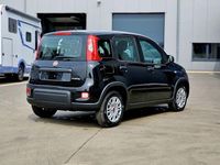 Gebraucht Fiat Panda 69 PS (50 kW) 2024 Cinema schwarz Kleinwagen