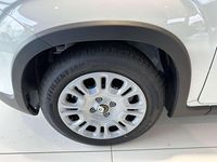 Neu Fiat Panda 69 PS (50 kW) 2025 Weiß Kleinwagen