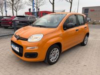 Gebraucht Fiat Panda Easy 69 PS (50 kW) 2019 Orange Kleinwagen