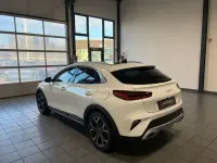 Usado Kia XCeed Black Xdition 204 CV (150 kW) 2022 Blanco SUV