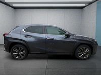 Gebraucht Lexus UX 184 PS (135 kW) 2024 Grau SUV