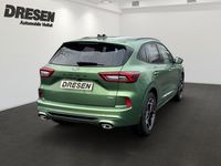 Neu Ford Kuga Titanium 179 PS (131 kW) 2026 Grün SUV