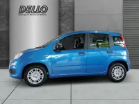 Neu Fiat Panda Icon 65 PS (47 kW) 2026 Blau Kleinwagen