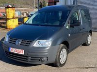 Usata VW Caddy Life 75 CV (55 kW) 2005 Grigio Monovolume