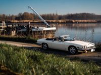 Gebraucht Jaguar XJS 265 PS (194 kW) 1988 Weiß Cabrio