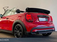 Gebraucht Mini Cooper Cabriolet 136 PS (100 kW) 2023 Rot Cabrio