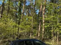 Gebraucht BMW M135 Performance 306 PS (225 kW) 2020 Schwarz Kleinwagen