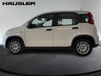 Gebraucht Fiat Panda 69 PS (50 kW) 2024 Weiß Limousine