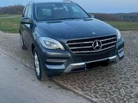 Gebraucht Mercedes ML350 258 PS (189 kW) 2015 Grau SUV