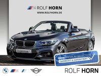 Gebraucht BMW 230 M Sport 252 PS (185 kW) 2020 Grau Cabrio