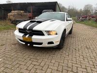 Gebraucht Ford Mustang GT 420 PS (308 kW) 2011 Weiß Coupé