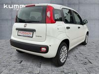 Neu Fiat Panda Icon 69 PS (50 kW) 2025 Weiß Limousine