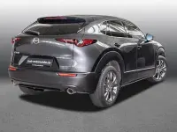 Gebraucht Mazda CX-30 Selection 180 PS (132 kW) 2019 Grau SUV