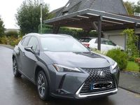 Gebraucht Lexus UX 250h 2023 Grau SUV