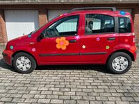 Gebraucht Fiat Panda Dynamic 60 PS (44 kW) 2009 Rot Kleinwagen