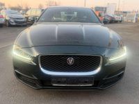 Gebraucht Jaguar XE Prestige 179 PS (131 kW) 2015 British racing green Limousine