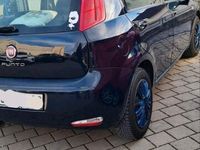 gebraucht Fiat Punto 