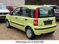Gebraucht Fiat Panda Active 54 PS (39 kW) 2005 Grün Kleinwagen