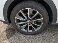 gebraucht Skoda Kamiq ScoutLine 1.0TSI DSG