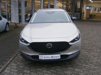 Gebraucht Mazda CX-30 Nagisa 186 PS (136 kW) 2024 Andere SUV