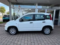 Gebraucht Fiat Panda 69 PS (50 kW) 2023 Weiß Kleinwagen