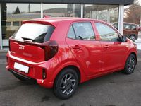 Neu Kia Picanto Vision 79 PS (58 kW) 2025 Rot Kleinwagen