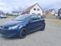 Gebraucht VW Polo 69 PS (50 kW) 2014 Blau Kleinwagen