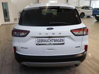 Gebraucht Ford Kuga Titanium X 224 PS (164 kW) 2022 Weiß SUV
