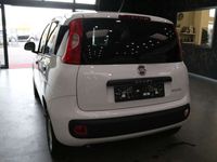 gebraucht Fiat Panda *VAN*2 Sitzer*Klima*1.Hand*TÜV Neu*