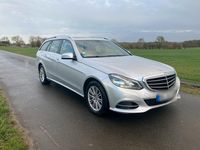 Gebraucht Mercedes E220 170 PS (125 kW) 2014 Silber Kombi