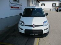 Gebraucht Fiat Panda 69 PS (50 kW) 2024 Schwarz Kleinwagen