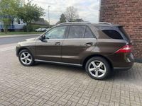 Gebraucht Mercedes ML350 260 PS (191 kW) 2014 Braun SUV